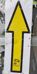 Rund um K�ln 2013h