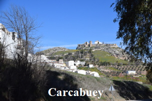 arcabuey (6)