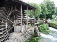 RIF_0343